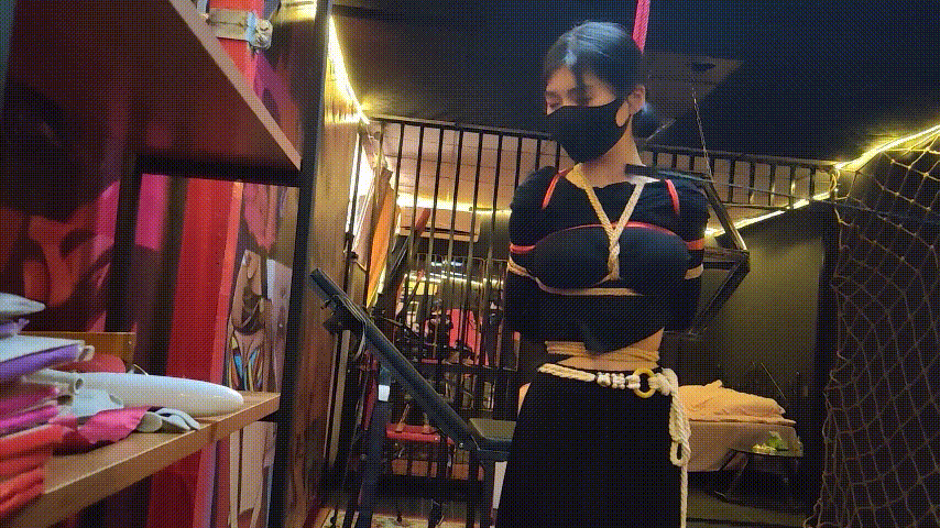 【意之窗】工作室 绳艺SM捆绑 震动棒强制高潮 戴狗绳爬走 肛塞牵引+模拟口交+喂食+失禁 高画质无水印合集【75.2G89V】