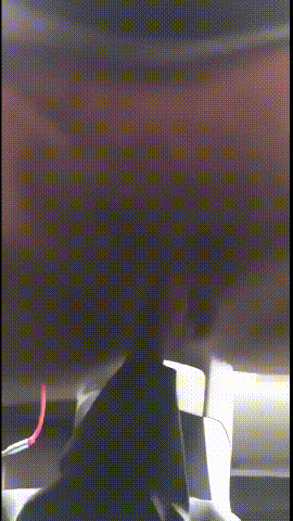 收集全网大尺度猎奇搞笑视频合集